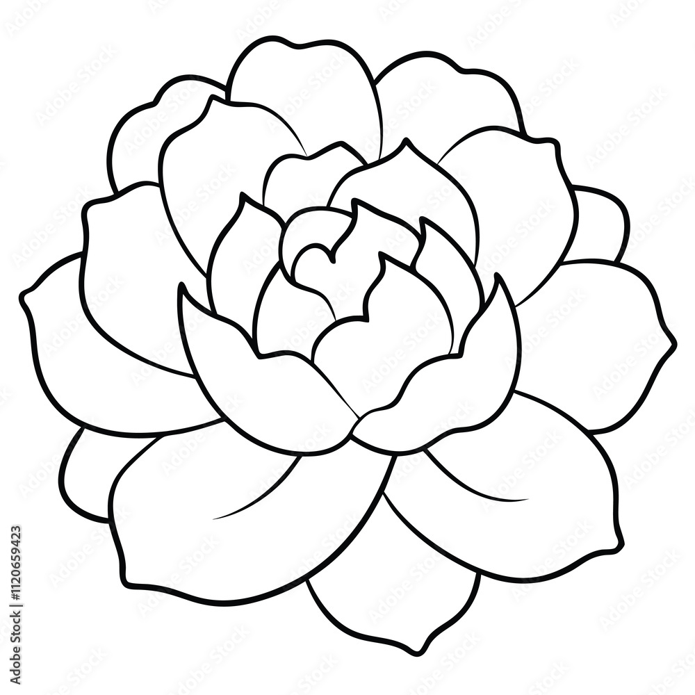 simple peony line art design. simple peony line art design.