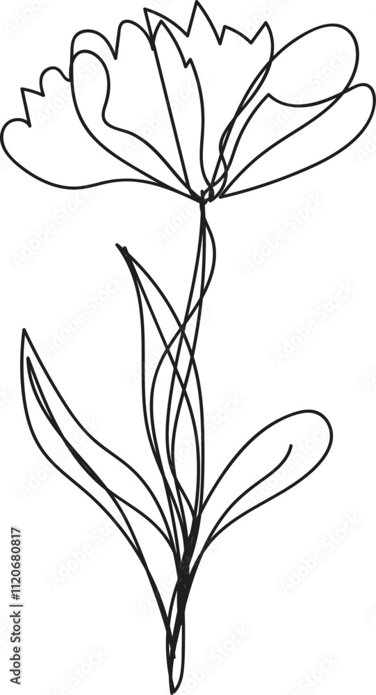 set of black and white flowers set of black and white flowers