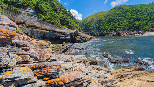 Panoramic view of the suspension bridges at Storms River Camp, Tsitsikamma National Park, South Africa