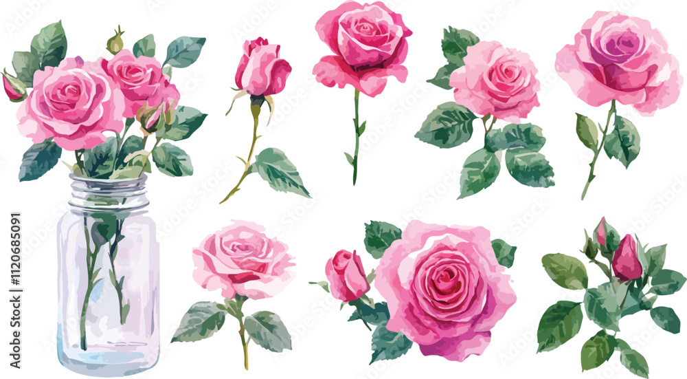 Fototapeta premium set of pink roses