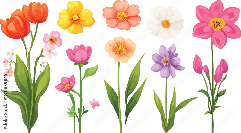 set of tulips set of tulips