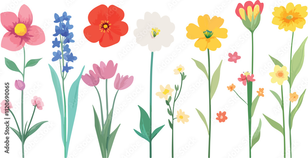 Obraz premium spring flowers vector illustration