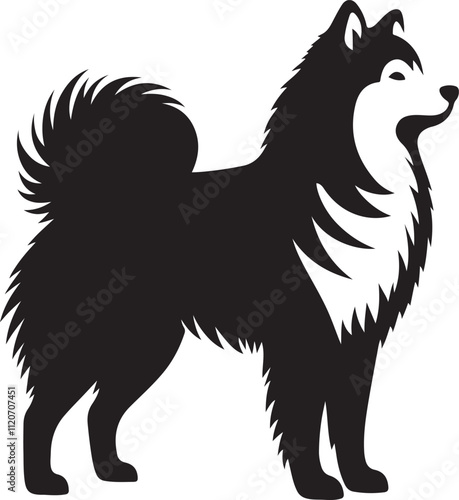 American Eskimo dog silhouette vector illustration, Vector silhouette of a American Eskimo dog