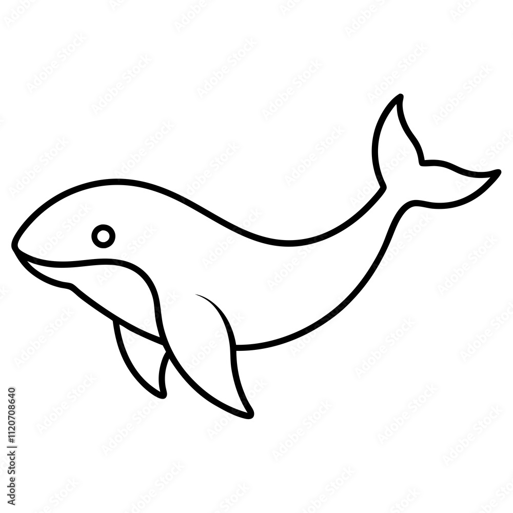 dolphin isolated on white dolphin isolated on white