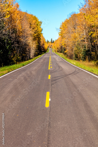 A road with yellow lines and trees in the background