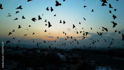 At sunset, a drone flying with crows over the road