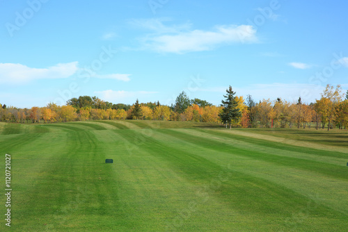 A golf course with a green grass field and trees in the background