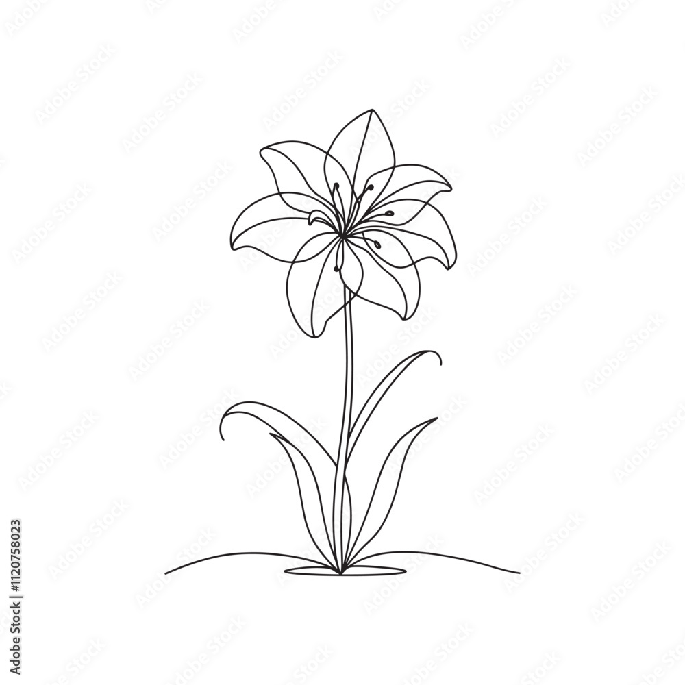 Amaryllis Continuous line art flat vector illustration on white background. Amaryllis Continuous line art flat vector illustration on white background.