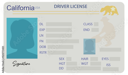 California driver's license with female silhouette isolated on white background. Person driver license