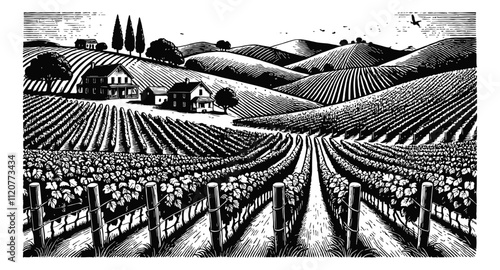 vineyard landscape engraving black and white outline