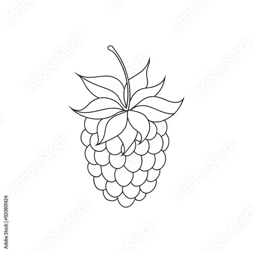 Blackberry fruit with leaf Continuous line art flat vector illustration