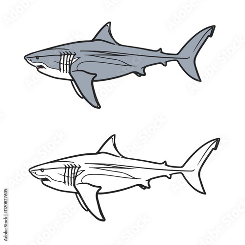 Shark. Drawing with line art. Hand drawn. Cartoon. Megalodon. Predator. Easy to edit. Vector illustration
