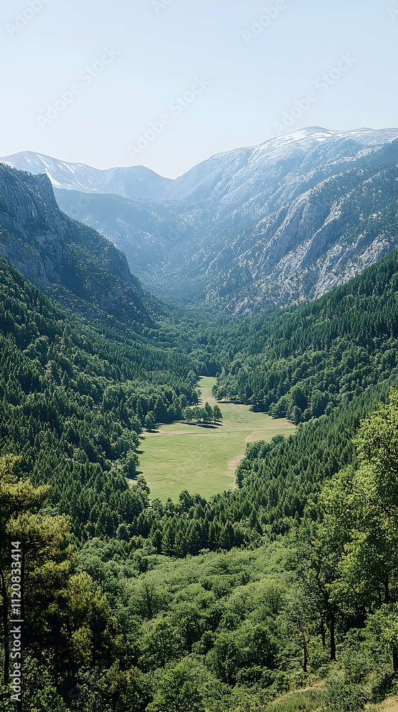 Serene valley landscape with lush green forests and snow-capped mountains in the distance. Serene valley landscape with lush green forests and snow-capped mountains in the distance.