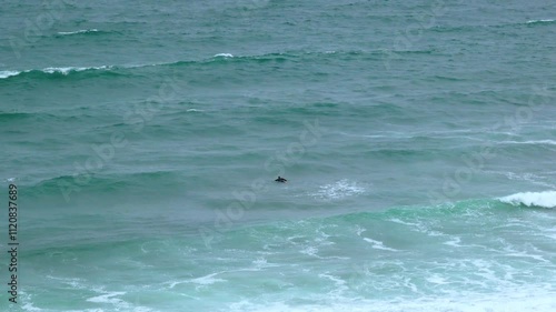 A solitary surfer battling stormy waves in the Atlantic Ocean off Biarritz