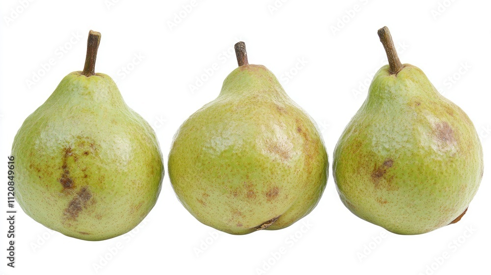 Fresh Bottle Guava Trio Isolated on White Background Highlighting Unique Pointed Shape and Vibrant Green Skin of Tropical Fruit Fresh Bottle Guava Trio Isolated on White Background Highlighting Unique Pointed Shape and Vibrant Green Skin of Tropical Fruit