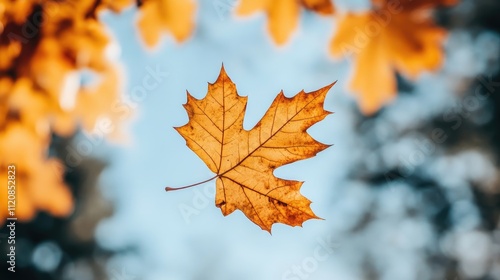Autumn Leaf Macro Close Up Vibrant Yellow Maple Leaf Against Soft Blue Sky Background