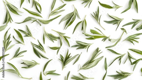 Fresh green tea leaves arranged artistically against a clean white backdrop showcasing their natural textures and vibrant colors from above.