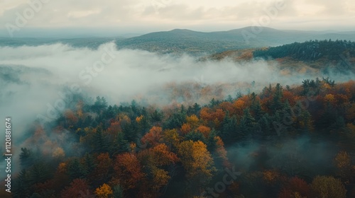 Aerial view of Poet's Seat Tower at sunrise, featuring low fog enveloping a vibrant New England forest in autumn colors, highlighting rich fall foliage and serene natural beauty, landscape, travel, Ma