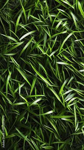 Vibrant Green Grass Blades Texture: Lush Nature Photography