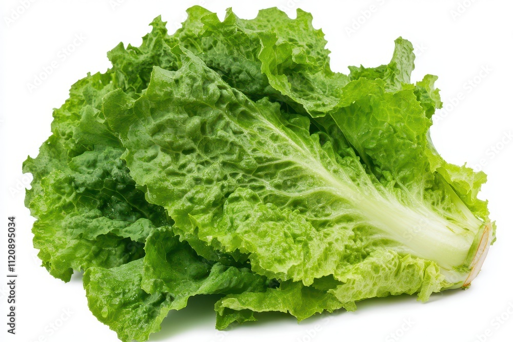 A large, crisp head of fresh green lettuce isolated on a white background A large, crisp head of fresh green lettuce isolated on a white background