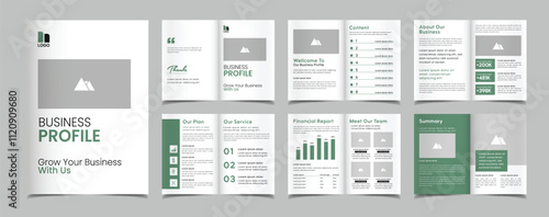 Elegant brochure company profile template and business profile design