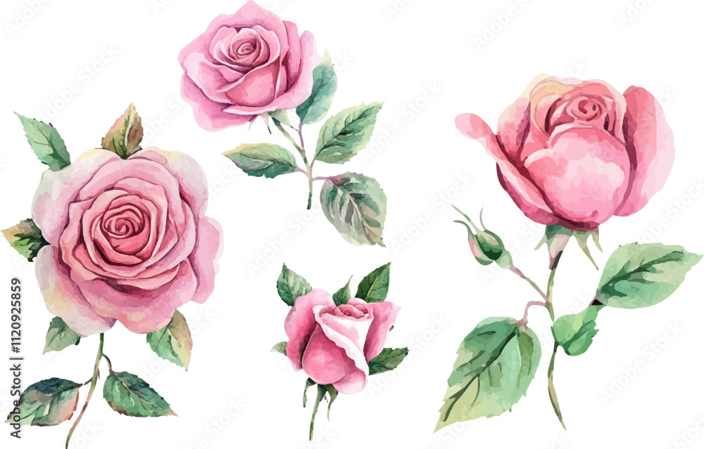 Naklejka premium Beautiful Watercolor Pink Rose Flower