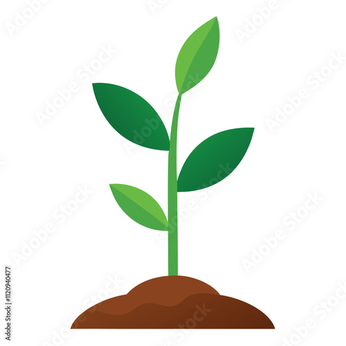 Growing Young Plant in Soil isolated on white 