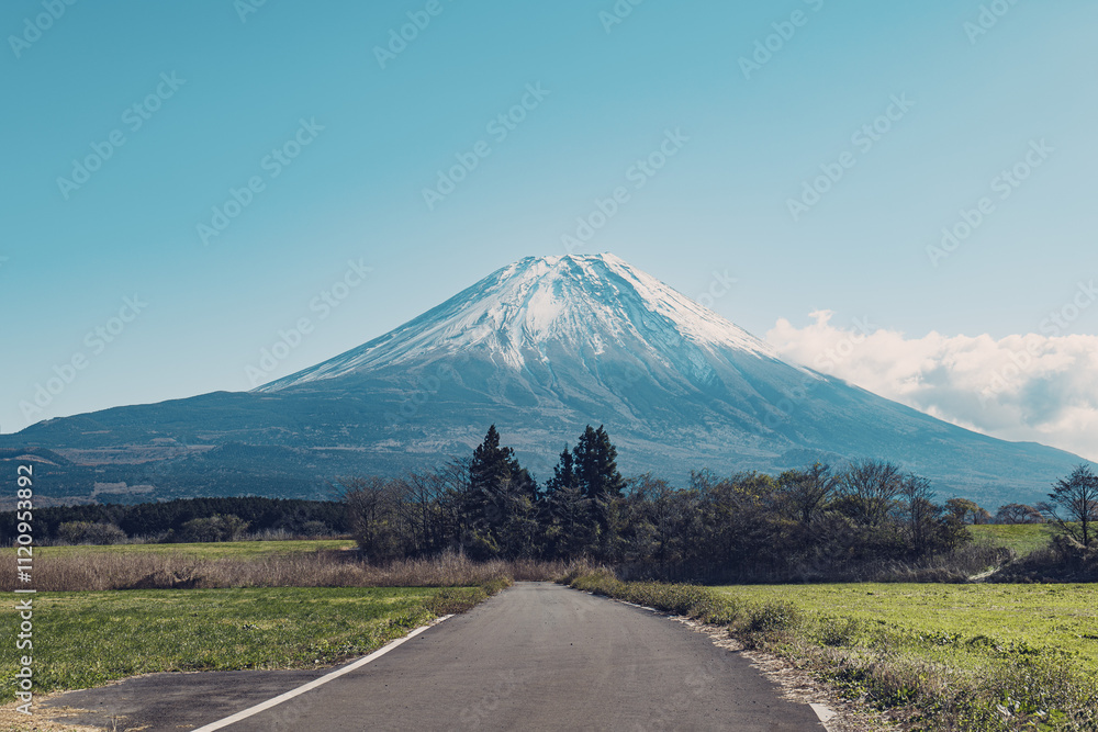 Fototapeta premium 富士山へ一直線に向かう一本道