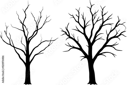 Bare dead tree silhouette vector on white background.