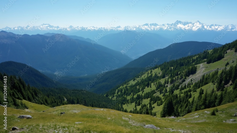 Obraz premium Aerial View of Olympic National Park, Washington State's Majestic Mountains, Lush Forests, and Snow-Capped Peaks