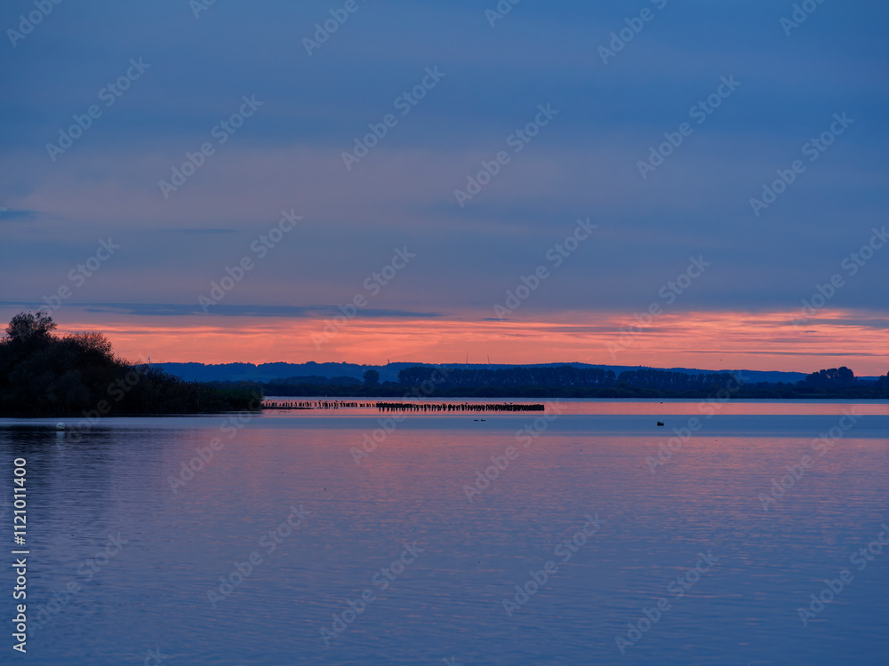 Fototapeta premium Der Dümmer See bei Lembruch im Abendlicht, Naturpark Dümmer, Landkreis Diepholz, Niedersachsen, Deutschland