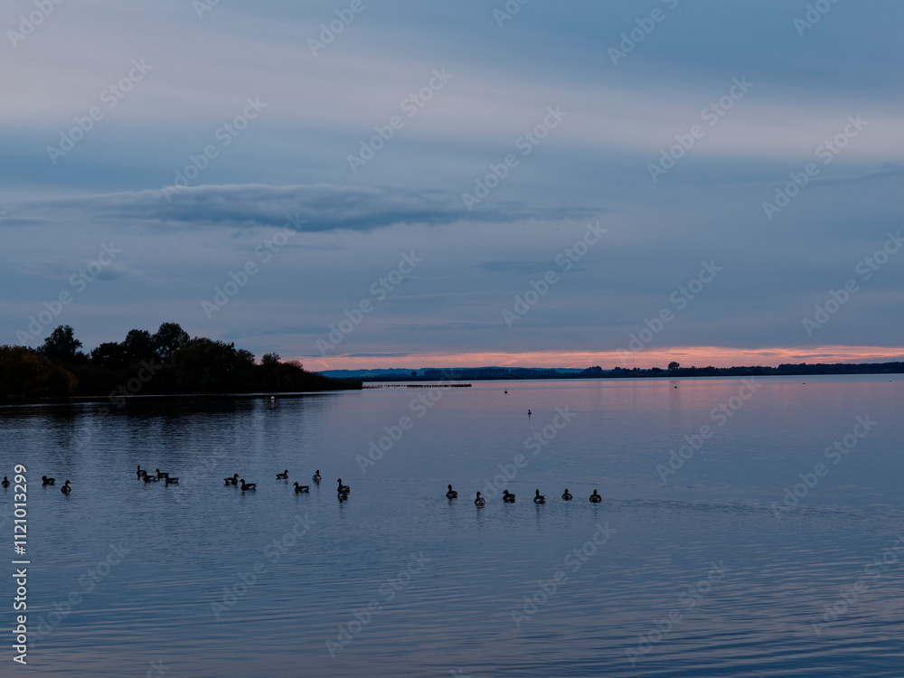 Naklejka premium Der Dümmer See bei Lembruch im Abendlicht, Naturpark Dümmer, Landkreis Diepholz, Niedersachsen, Deutschland