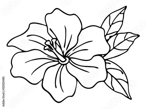 Line art of a hibiscus  flower vector 
