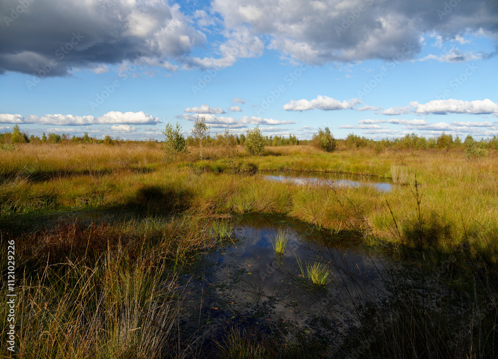 Landschaft im Oppenweher Moor im Naturpark Dümmer, Landkreis Diepholz, Niedersachsen, Deutschland Landschaft im Oppenweher Moor im Naturpark Dümmer, Landkreis Diepholz, Niedersachsen, Deutschland