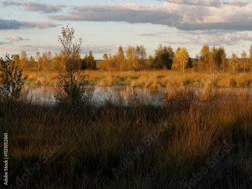 Abendstimmung im Rehdener Geestmoor bei Rehden, Naturpark Dümmer, Landkreis Diepholz, Niedersachsen, Deutschland