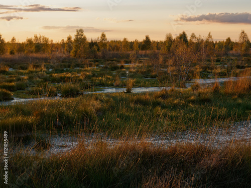 Abendstimmung im Rehdener Geestmoor bei Rehden, Naturpark Dümmer, Landkreis Diepholz, Niedersachsen, Deutschland photo