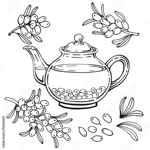 Teapot of tea with sea buckthorn. Hand drawn vector illustration