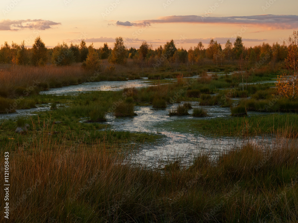 Fototapeta premium Abendstimmung im Rehdener Geestmoor bei Rehden, Naturpark Dümmer, Landkreis Diepholz, Niedersachsen, Deutschland