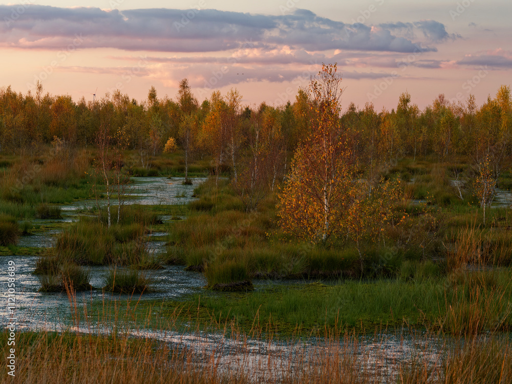 Abendstimmung im Rehdener Geestmoor bei Rehden, Naturpark Dümmer, Landkreis Diepholz, Niedersachsen, Deutschland Abendstimmung im Rehdener Geestmoor bei Rehden, Naturpark Dümmer, Landkreis Diepholz, Niedersachsen, Deutschland