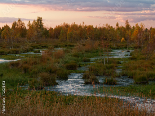 Abendstimmung im Rehdener Geestmoor bei Rehden, Naturpark Dümmer, Landkreis Diepholz, Niedersachsen, Deutschland photo