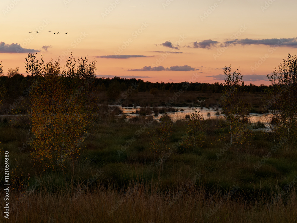 Abendstimmung im Rehdener Geestmoor bei Rehden, Naturpark Dümmer, Landkreis Diepholz, Niedersachsen, Deutschland Abendstimmung im Rehdener Geestmoor bei Rehden, Naturpark Dümmer, Landkreis Diepholz, Niedersachsen, Deutschland