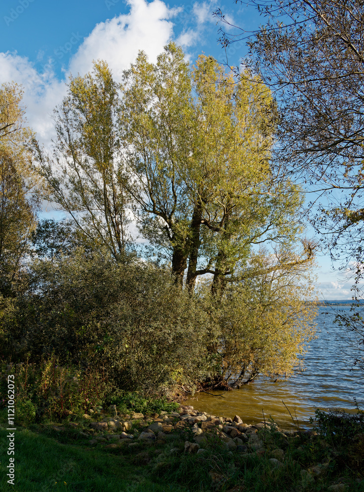 Obraz premium Der Dümmer See zwischen Lembruch und Dümmerlohausen, Naturpark Dümmer, Landkreis Diepholz, Niedersachsen, Deutschland