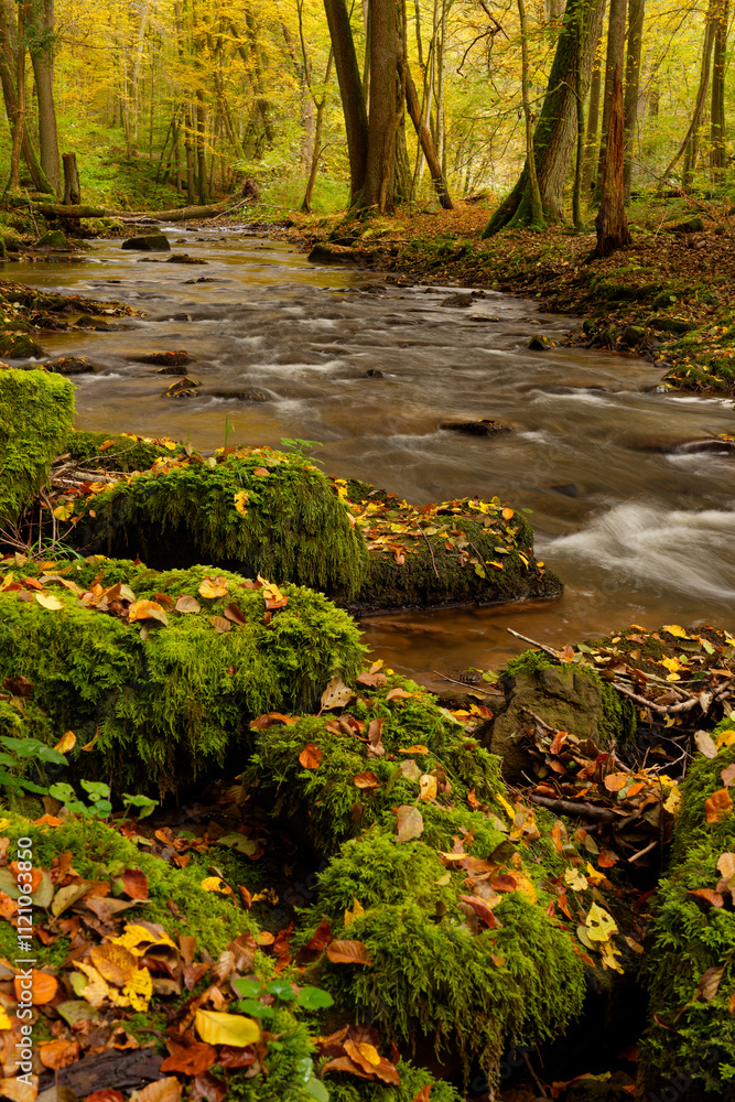 Der Flusslauf der Thulba in der Kernzone des Biosphärenreservats Rhön zwischen Oberthulba und Thulba, Landkreis Bad Kissingen, Unterfranken, Franken, Bayern, Deutschland Der Flusslauf der Thulba in der Kernzone des Biosphärenreservats Rhön zwischen Oberthulba und Thulba, Landkreis Bad Kissingen, Unterfranken, Franken, Bayern, Deutschland