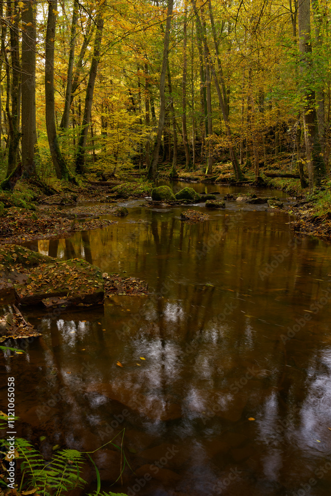 Der Flusslauf der Thulba in der Kernzone des Biosphärenreservats Rhön zwischen Oberthulba und Thulba, Landkreis Bad Kissingen, Unterfranken, Franken, Bayern, Deutschland Der Flusslauf der Thulba in der Kernzone des Biosphärenreservats Rhön zwischen Oberthulba und Thulba, Landkreis Bad Kissingen, Unterfranken, Franken, Bayern, Deutschland