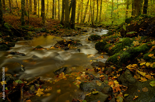 Der Elsbach im NSG Gangolfsberg in der Kernzone des Biosphärenreservat Rhön, Bayerischen Rhön, Landkreis Rhön-Grabfeld, Unterfranken, Bayern, Deutschland photo