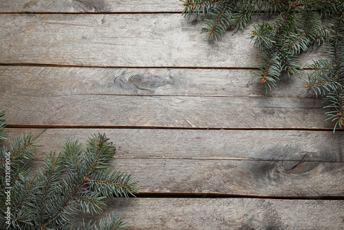 Beautiful fir branches on b...