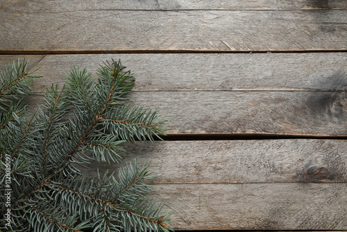 Beautiful fir branches on brown wooden background