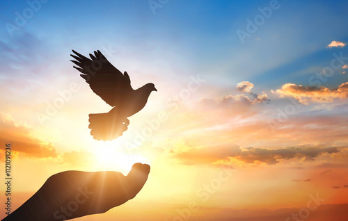 Generated imSilhouette of hand holding dove on sunset sky background. Freedom conceptage photo