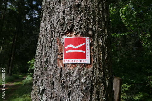 Markierung Rothaarsteig im Rothaargebirge im Sauerland am Baum photo