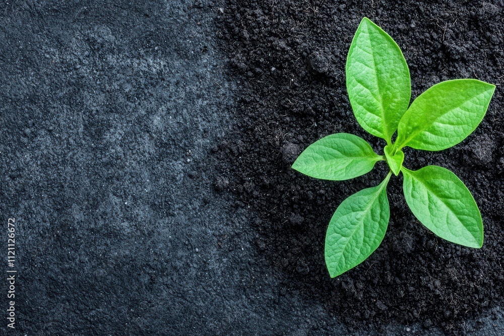 Naklejka premium Small green plant growing in fertile soil symbolizing growth and new life